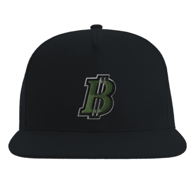Pennsylvania Benjamins Snapback Hat
